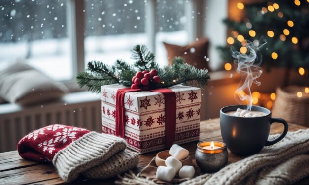 Julegaveidéer til de kolde dage baseret på vejret i dag i Danmark